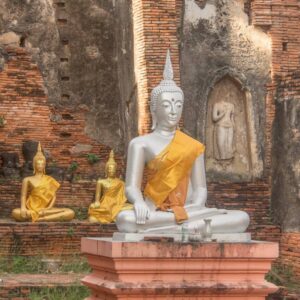 Buddhas Ayutthaya