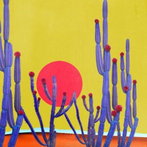 Cactus Sunset - Limited Edition of 10
