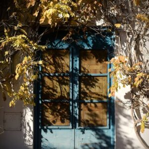 Door - 36