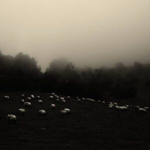 Espai Oblidat — Forgotten Space II