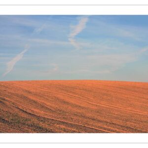 Field 7 - Limited Edition 1 of 10