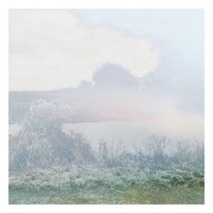 Foret diaphane - Limited Edition of 25 Photograph