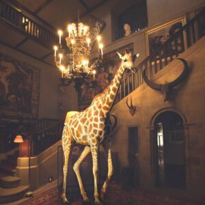 GIRAFFE & CHANDELIER (MEDIUM) *1 AP LEFT!* Limited Edition 10