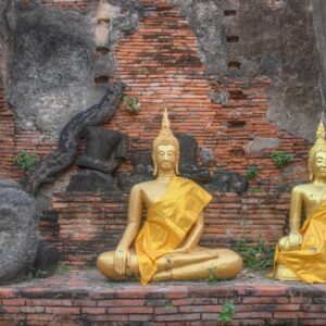 golden Buddhas Ayutthaya