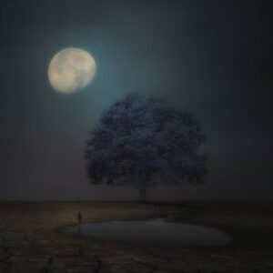 I need a tree - Limited Edition 4 of 20