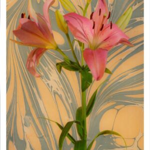 Seventies Psychedelic Flowers - Limited Edition of 100