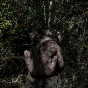 The Tree of Lies - The Gravity of Matter