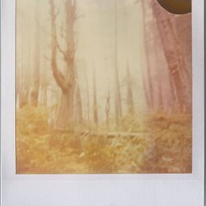 Untitled (Fairytales)