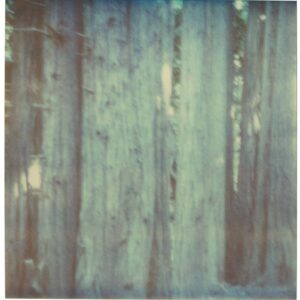 Untitled (Fairytales)